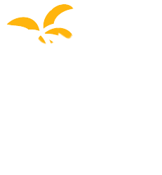 táborová palma